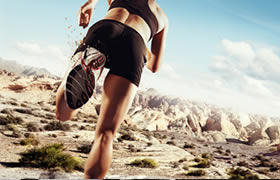 RPI of Atlanta Intracell The Stick